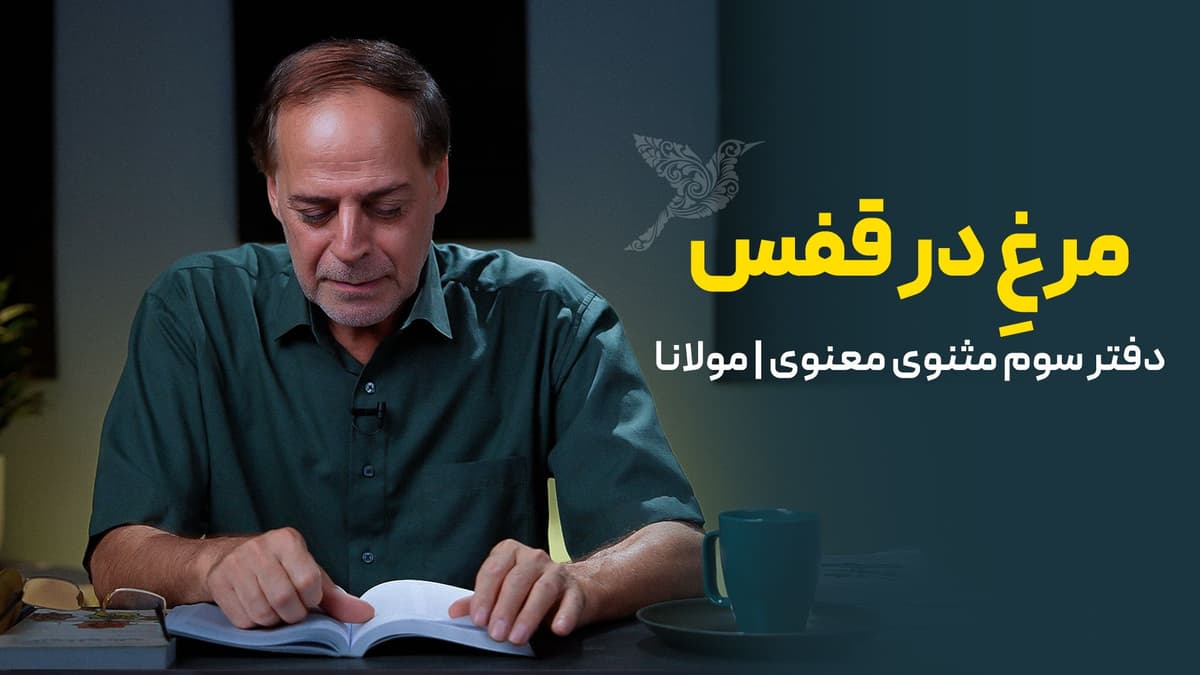 مرغ در قفس